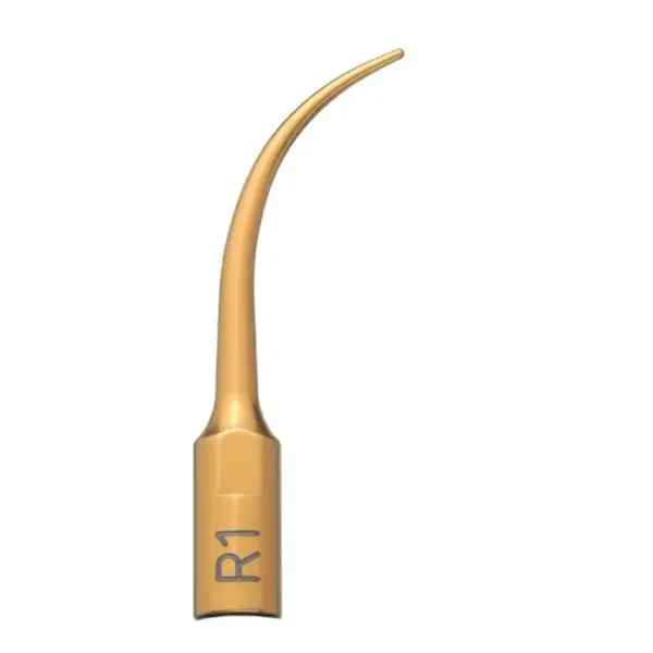 Mectron Ultrasound Insert R1