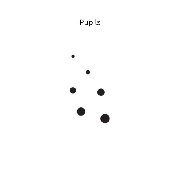 pupils